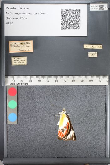 Media type: image;   Entomology 130126